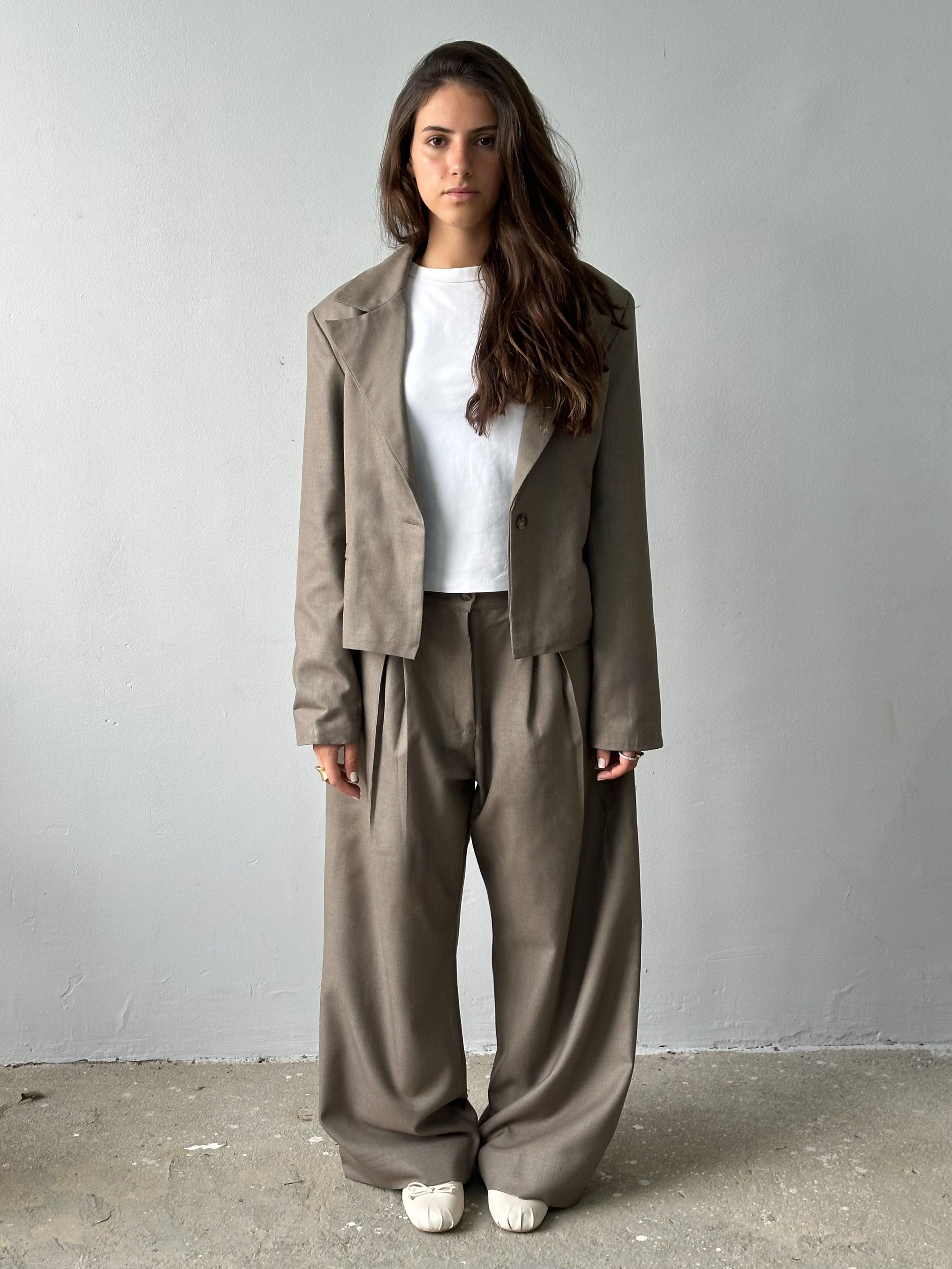 Taupe Pleated Pants