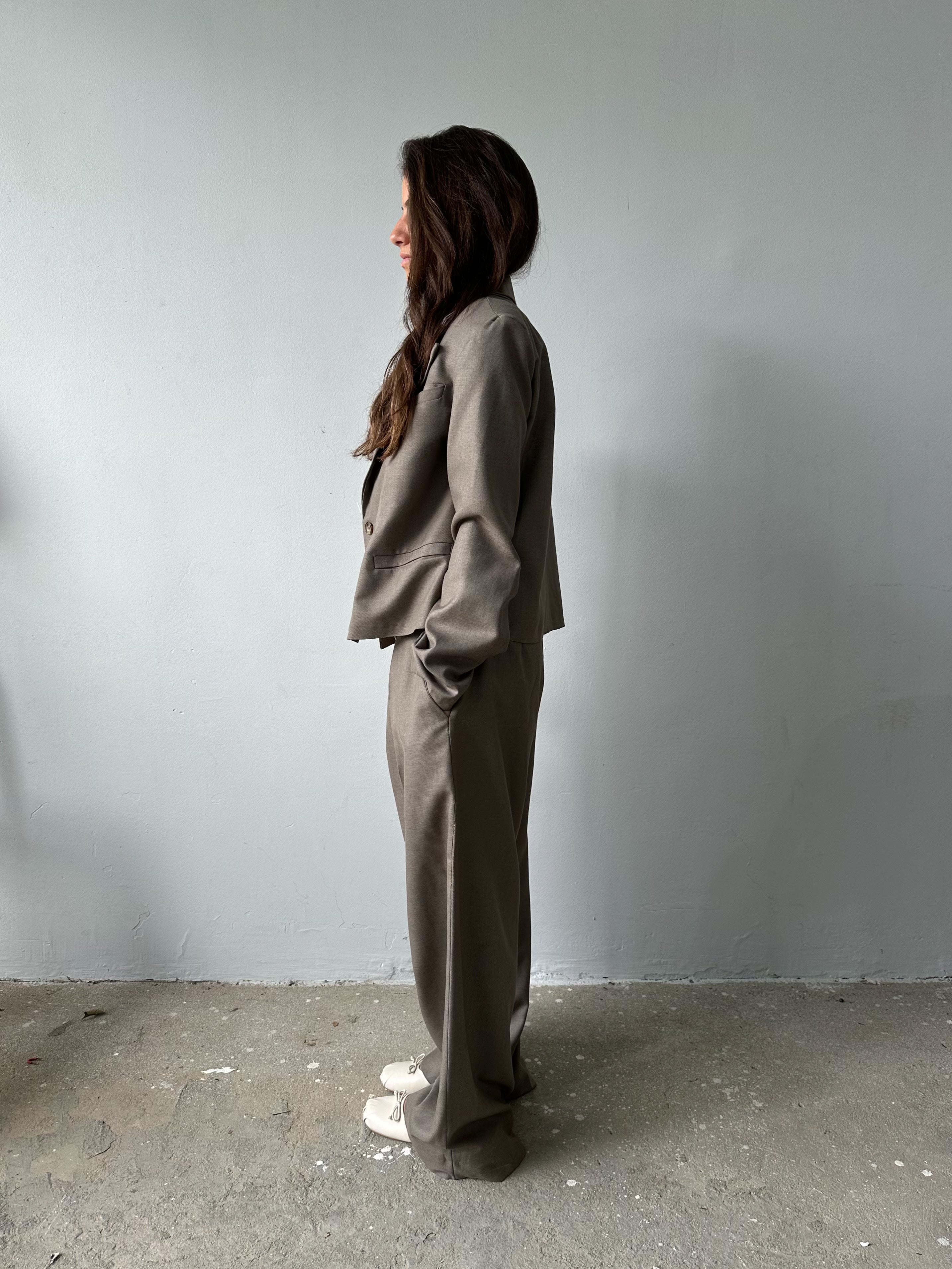 Taupe Pleated Pants