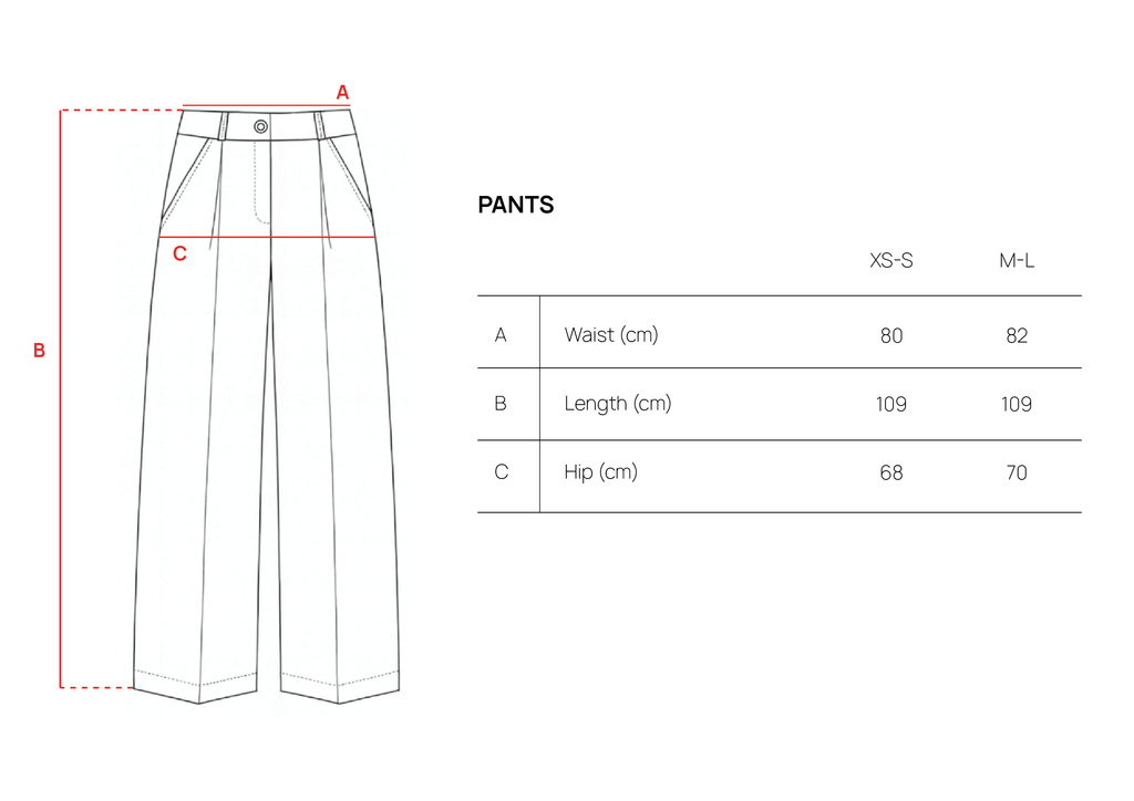 Gray Pleated Pants