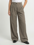 Taupe Pleated Pants